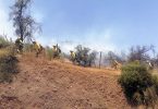 Incendio forestal