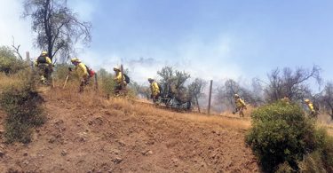 Incendio forestal