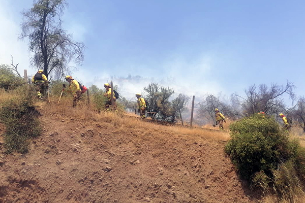 Incendio forestal