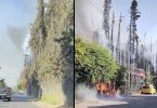 [AHORA EN COLINA]