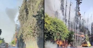 [AHORA EN COLINA]