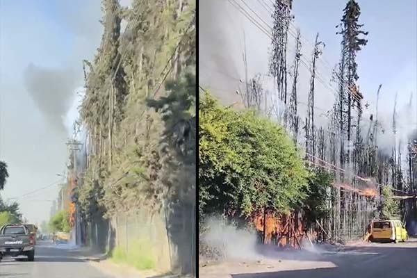 [AHORA EN COLINA]