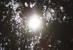 altas temperaturas