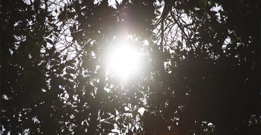 altas temperaturas