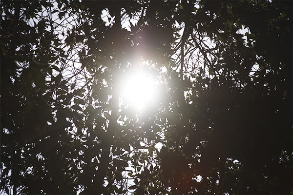 altas temperaturas