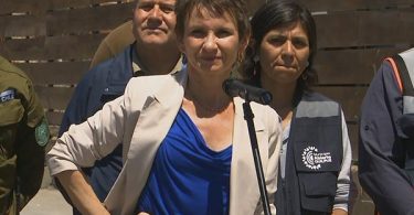 Cadem Tohá