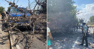 Santa Rosa en Batuco