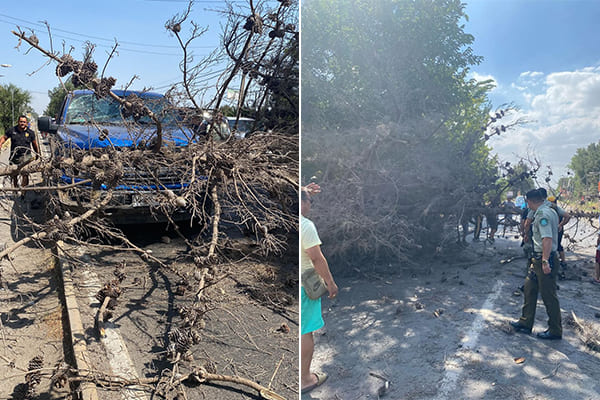 Santa Rosa en Batuco