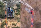 bungee