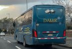 Damir