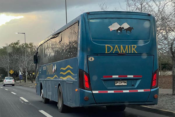 Damir