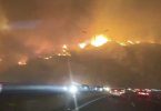 alerta roja