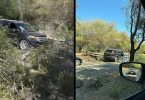 [VIDEO] Cae árbol
