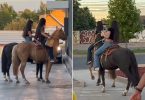 caballo