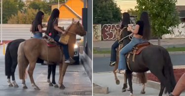 caballo