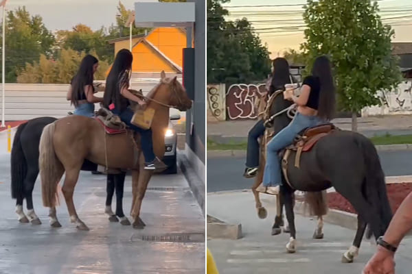 caballo