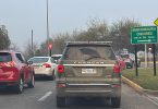 placa patente delito