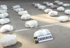 Operativo droga PDI