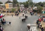 Colina: Cuasimodo