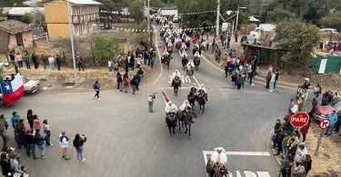 Colina: Cuasimodo