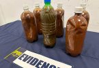 ayahuasca