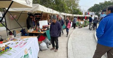 Expo Agrícola Colina 2024