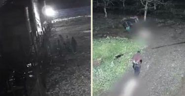 matadero clandestino Isla de Maipo