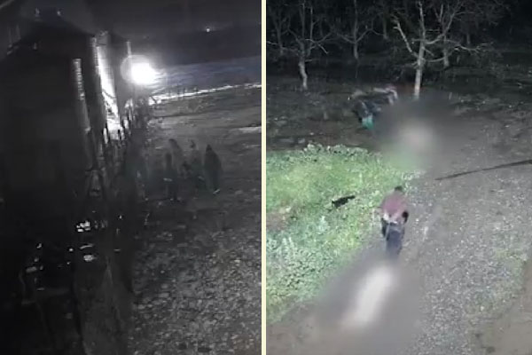 matadero clandestino Isla de Maipo