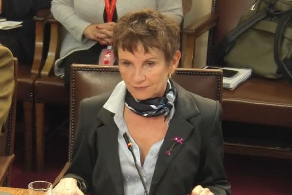 Ministra Tohá