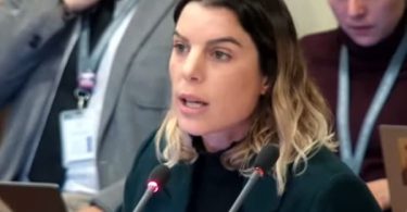 Diputada Orsini