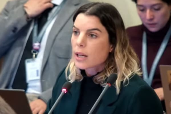 Diputada Orsini