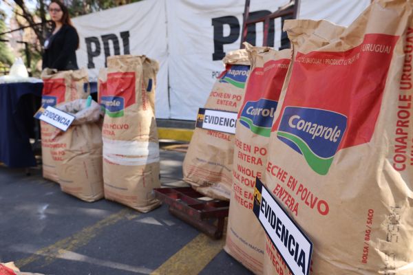 leche en polvo