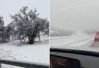 nieve Colina