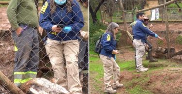 zoológico de Quilpué