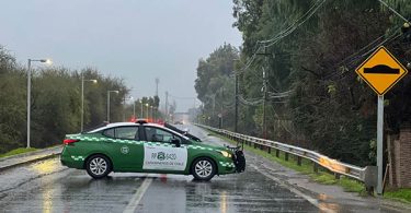 atropello Batuco
