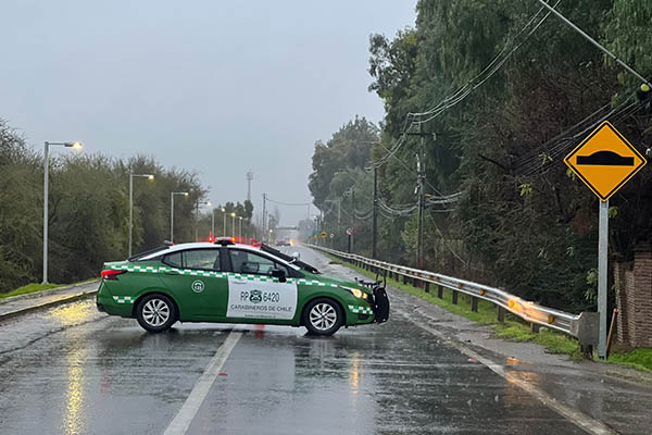atropello Batuco