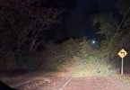 Colina: caída de árboles