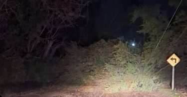 Colina: caída de árboles