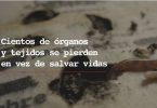 campaña Minsal