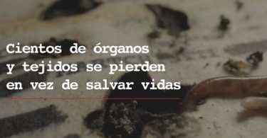 campaña Minsal
