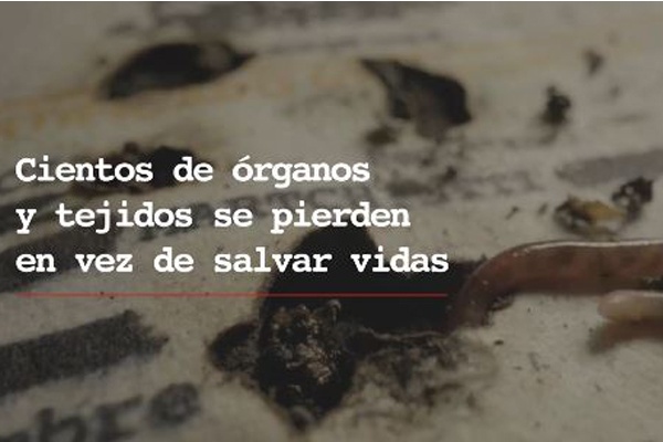 campaña Minsal