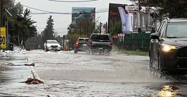 Colina lluvia