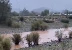 estero Tiltil