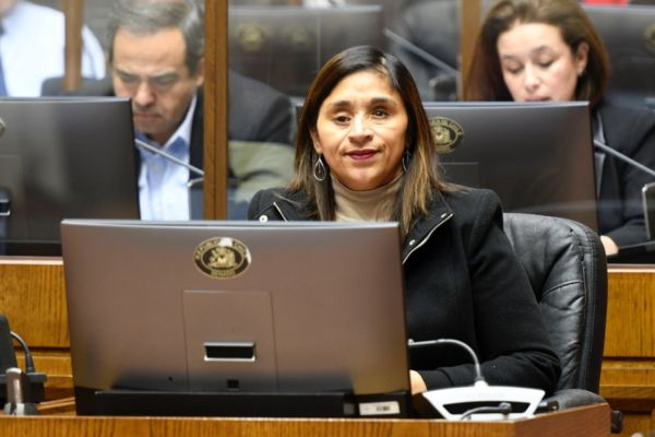 Senadora Campillai