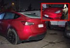Tesla en Chicureo