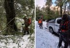 Parque Nacional Villarrica