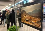 Colina Galería