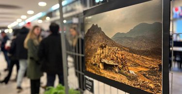 Colina Galería