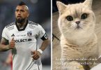 Arturo Vidal