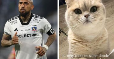 Arturo Vidal